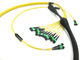 Assemblage van de de Vezel de Optische die Kabel van SM OM3 OM4 MPO voor de Aanleg van kabelnetten van 40G wordt aangepast 100G